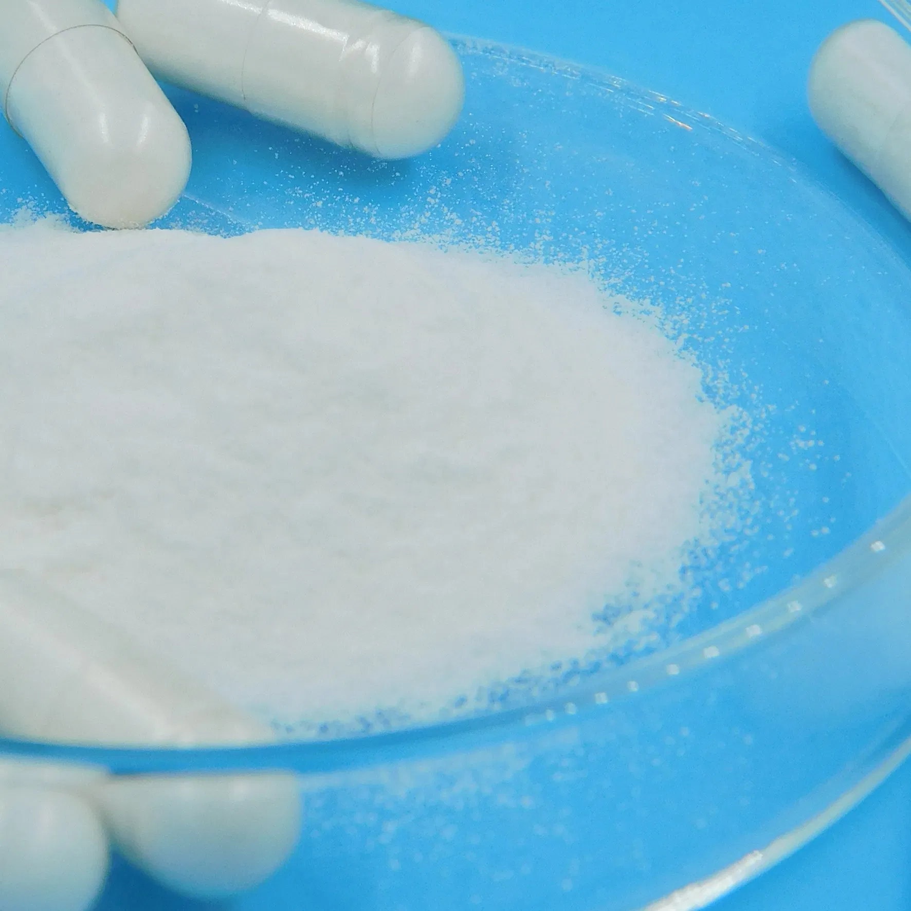 Premium Probiotic Blend for Enhanced Gut Health and Immunity Suplementos Nutricionais