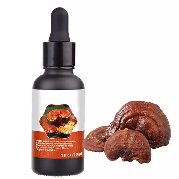 OEM Natural Reishi Extract Drops to Enhance Immune Health