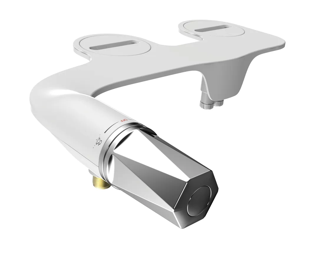 Bidet Detail 1