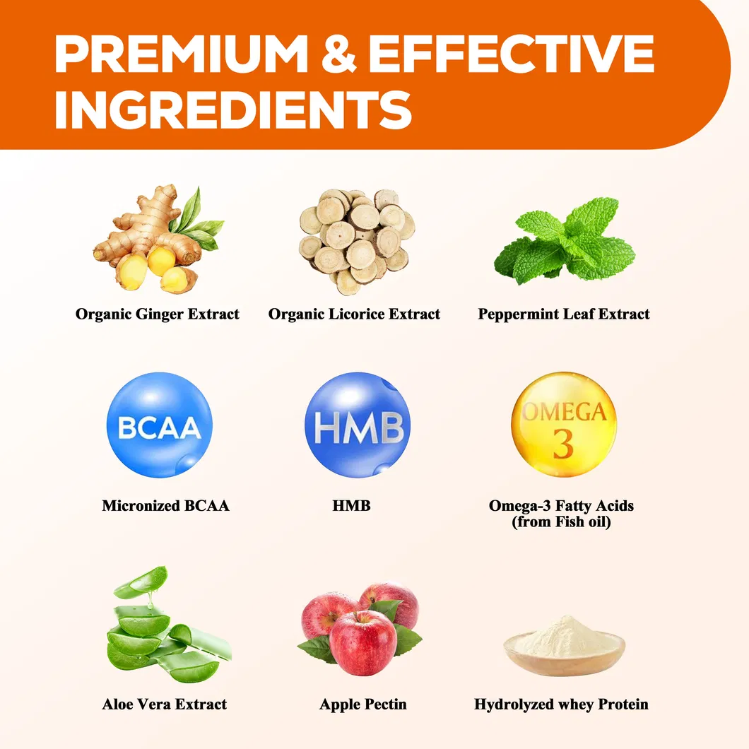 Nutrient Absorption Support