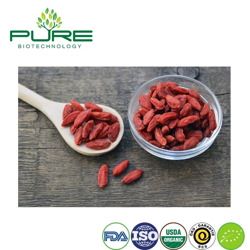 Nutrient-Rich Organic Goji Berries for Global Health Distributors