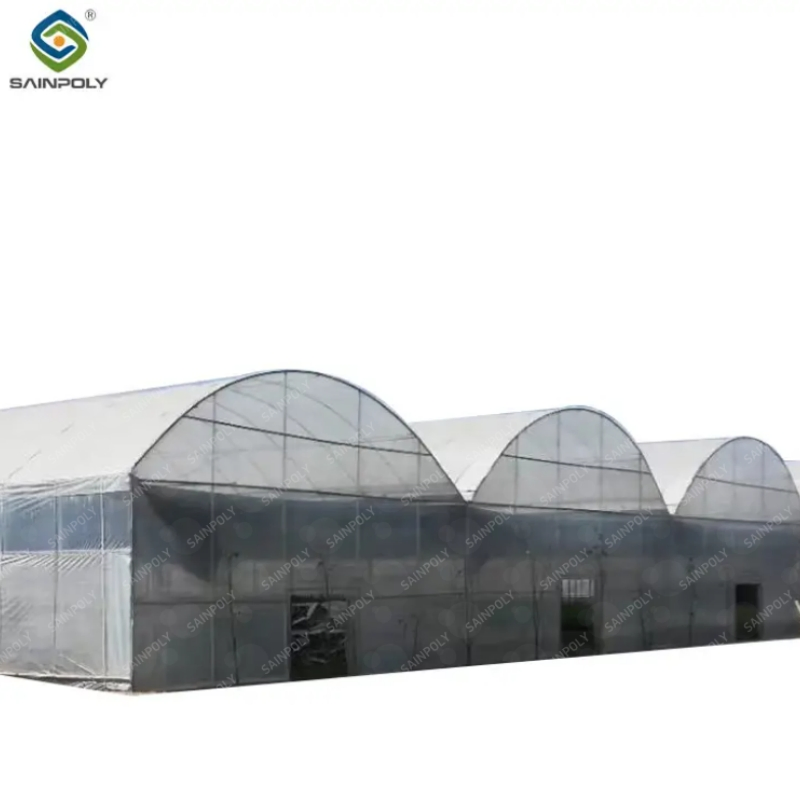 Modern High-Performance Irrigation&Hydroponics Equipment Multi Span Film Greenhouse