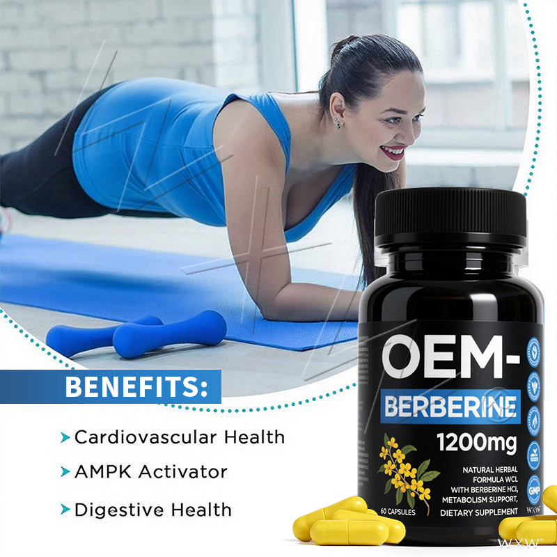 Best Selling Support Immune System and Overall Health Berberine Capsule