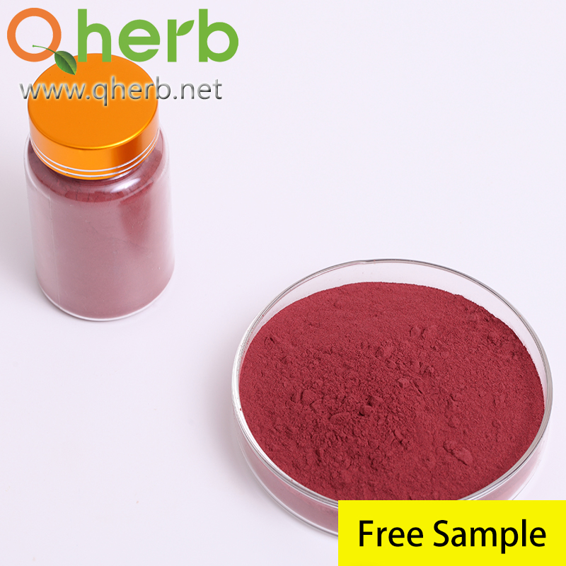 Monascus Purpureus Red Yeast Rice Extract Powder/Natural Lovastatin1% CAS 75330-75-5