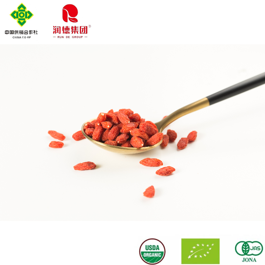 Wholesale Organic Goji Berries for Healthy Lifestyle and Wellness