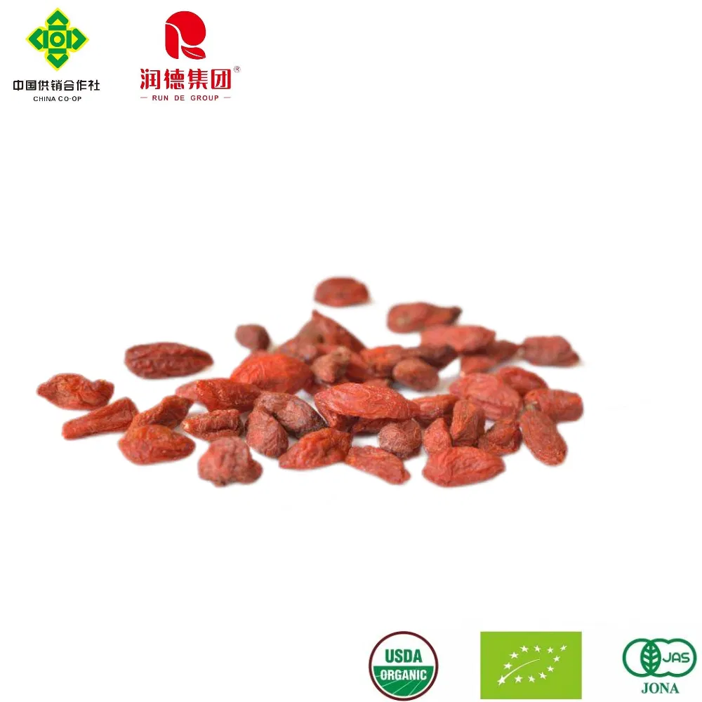 Premium Organic Goji Berries for a Balanced Healthy Lifestyle