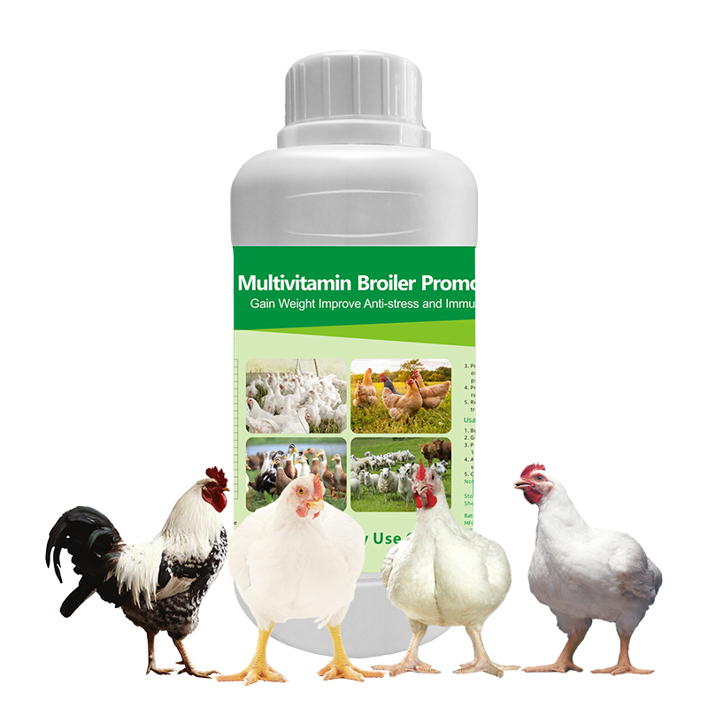 Vitboo Animal Nutrition Mixed Feed Additive Poultry Medicine Poultry Feed Supplement Bacillus Subtilis