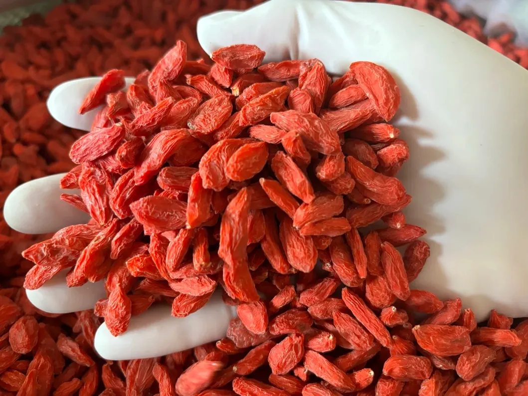 Goji Berry Detail