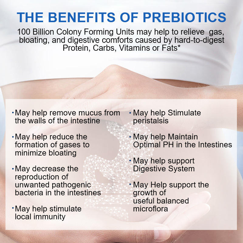 in Stock Probiotics 300 Billion Cfu Capsule Immune Digestive Gut Health