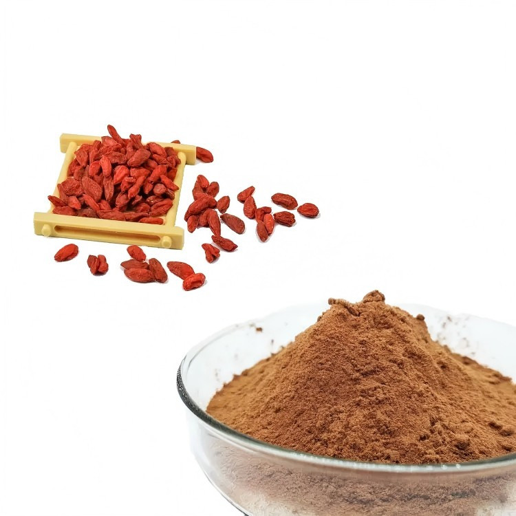 Polysaccharides 3%~60% Wolfberry Extract Powder for Health Supplements