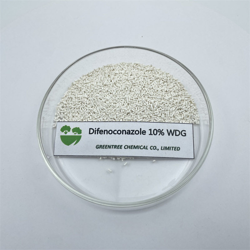 Professional-Grade Preventive Action Fungicide Difenoconazole 10% Wdg for Plant Health