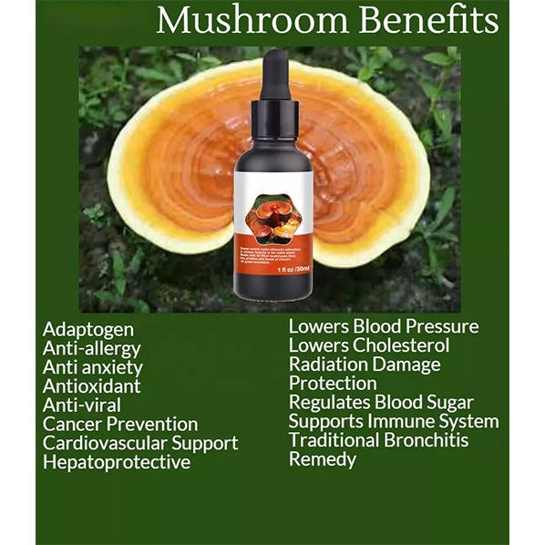 OEM Natural Reishi Extract Drops to Enhance Immune Health