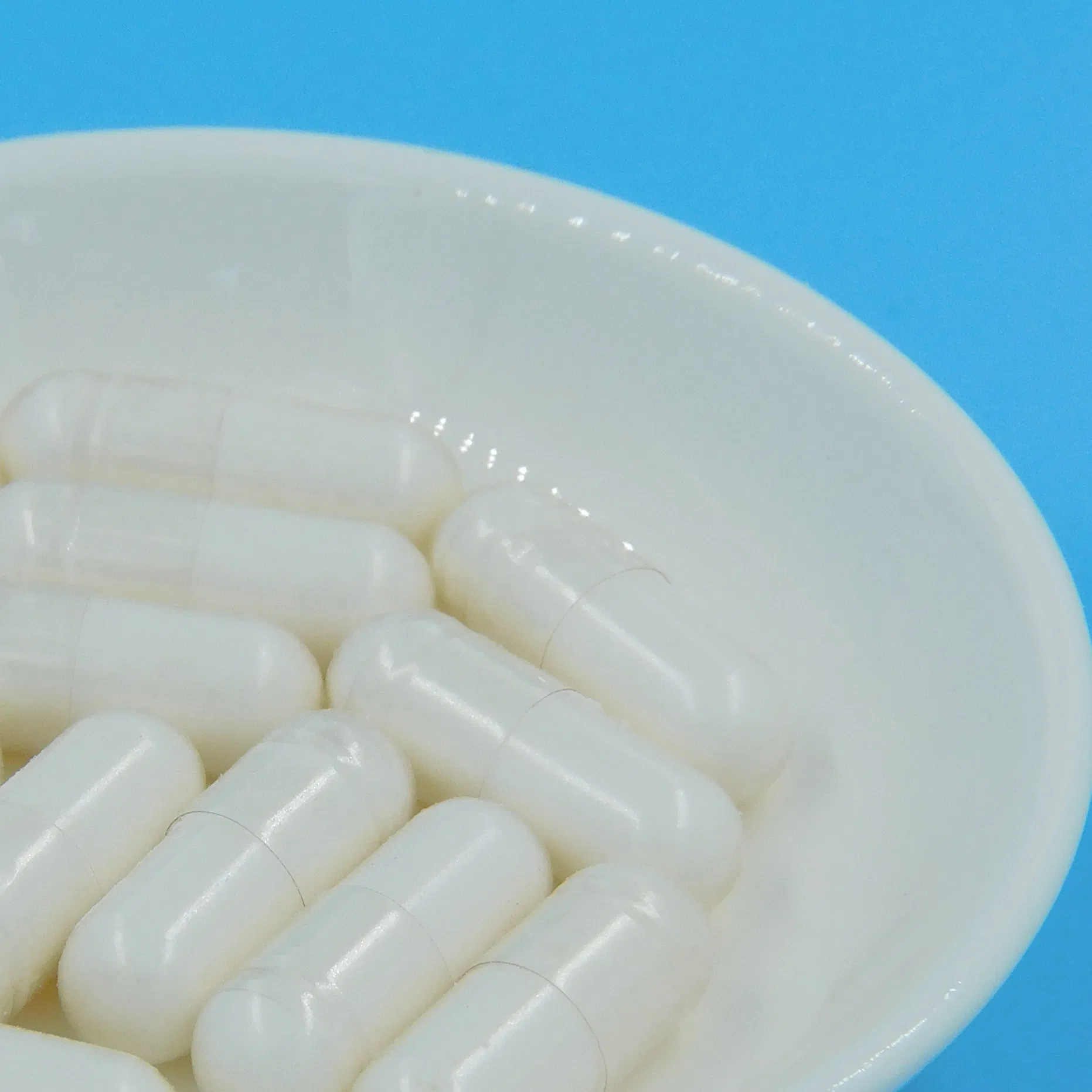 Premium Probiotic Blend for Enhanced Gut Health and Immunity Suplementos Nutricionais