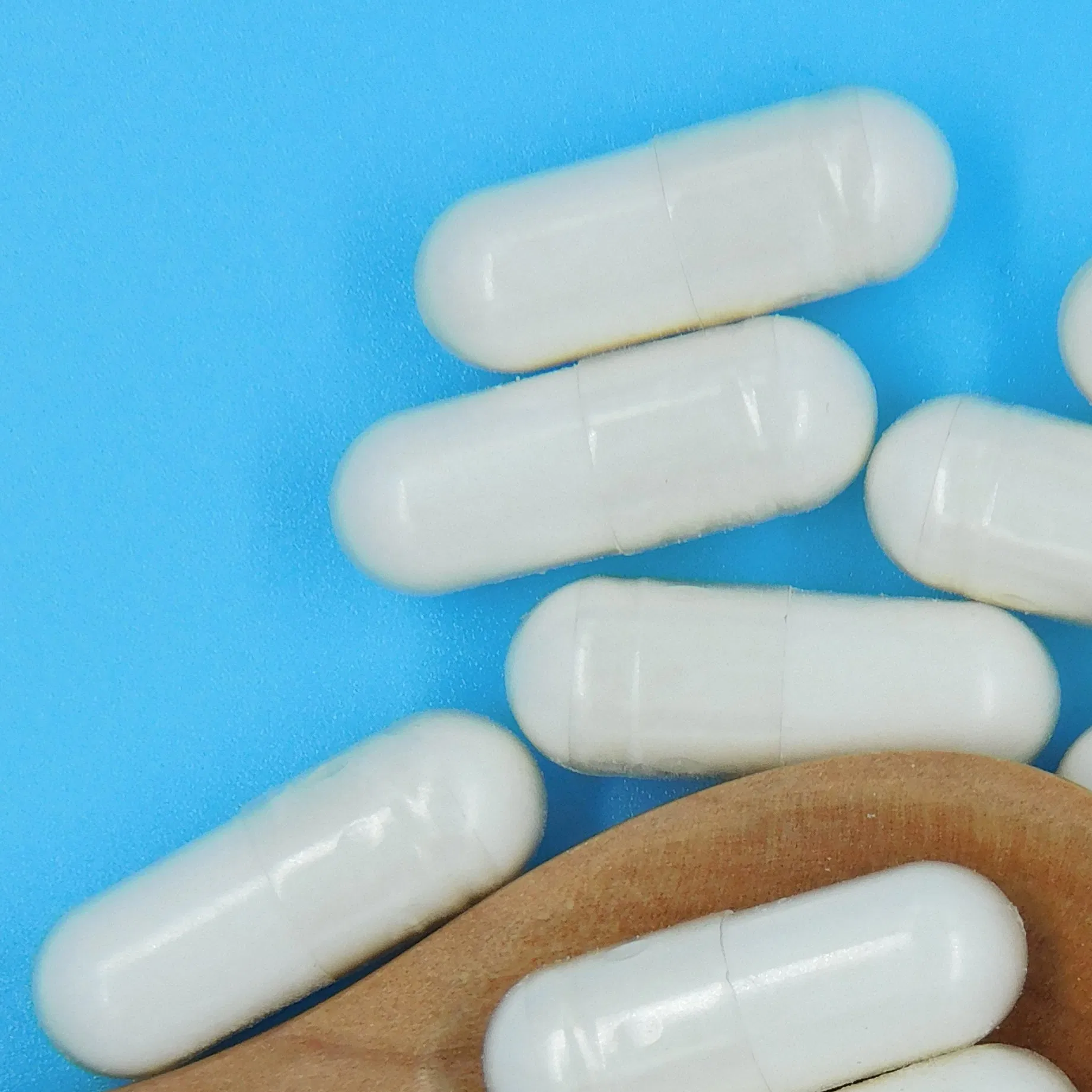 Premium Probiotic Blend for Enhanced Gut Health and Immunity Suplementos Nutricionais