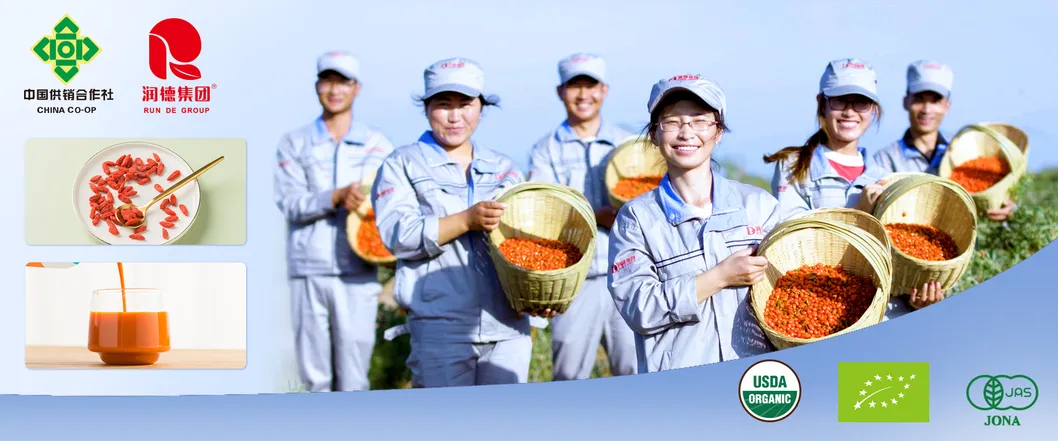 Organic Goji Berries Wholesale