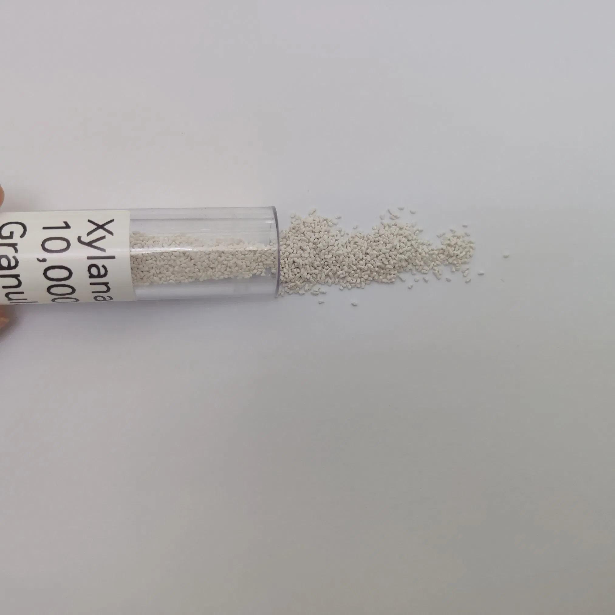 Feed Additive Enzyme Nutrient Release Reduce Intestinal Viscosity Gut Health Improvement Thermostability Feed Mill Water Line Animal Health Xylanase Feed Enzyme