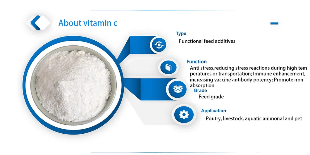 Ascorbic Acid Powder