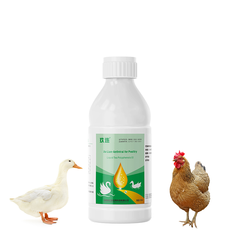 Hormone-Free Jiu Lian: Poultry Viral Disease Prevention