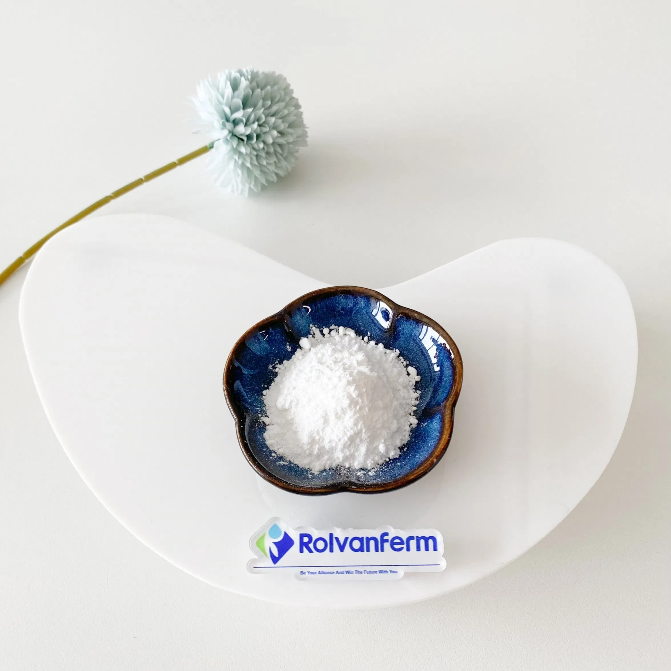 High Bioavailability Pterostilbene with Superior Methylated Structure Cellular Health Metabolic Support and Cognitive Function Dietary Supplements Pterostilbene