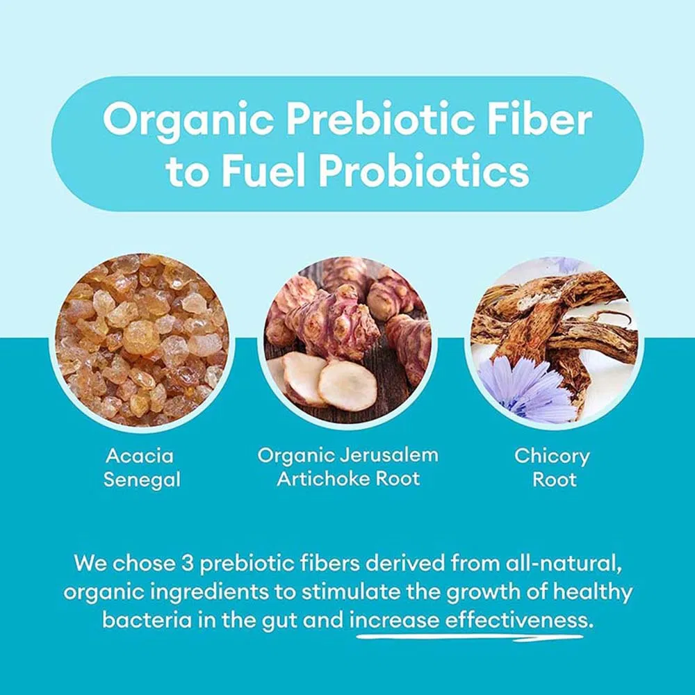 Digestive Support and Gut Health Pills Organic Prebiotic Probiotic Capsules Supplement