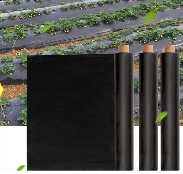 Black mulching film