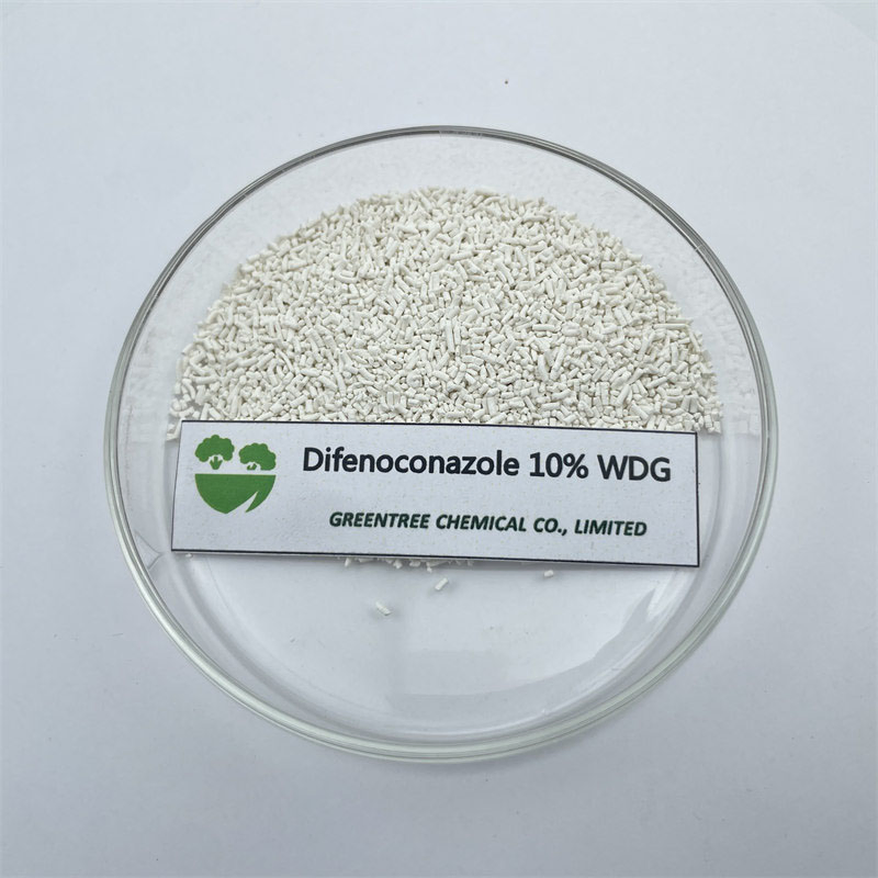 Professional-Grade Preventive Action Fungicide Difenoconazole 10% Wdg for Plant Health