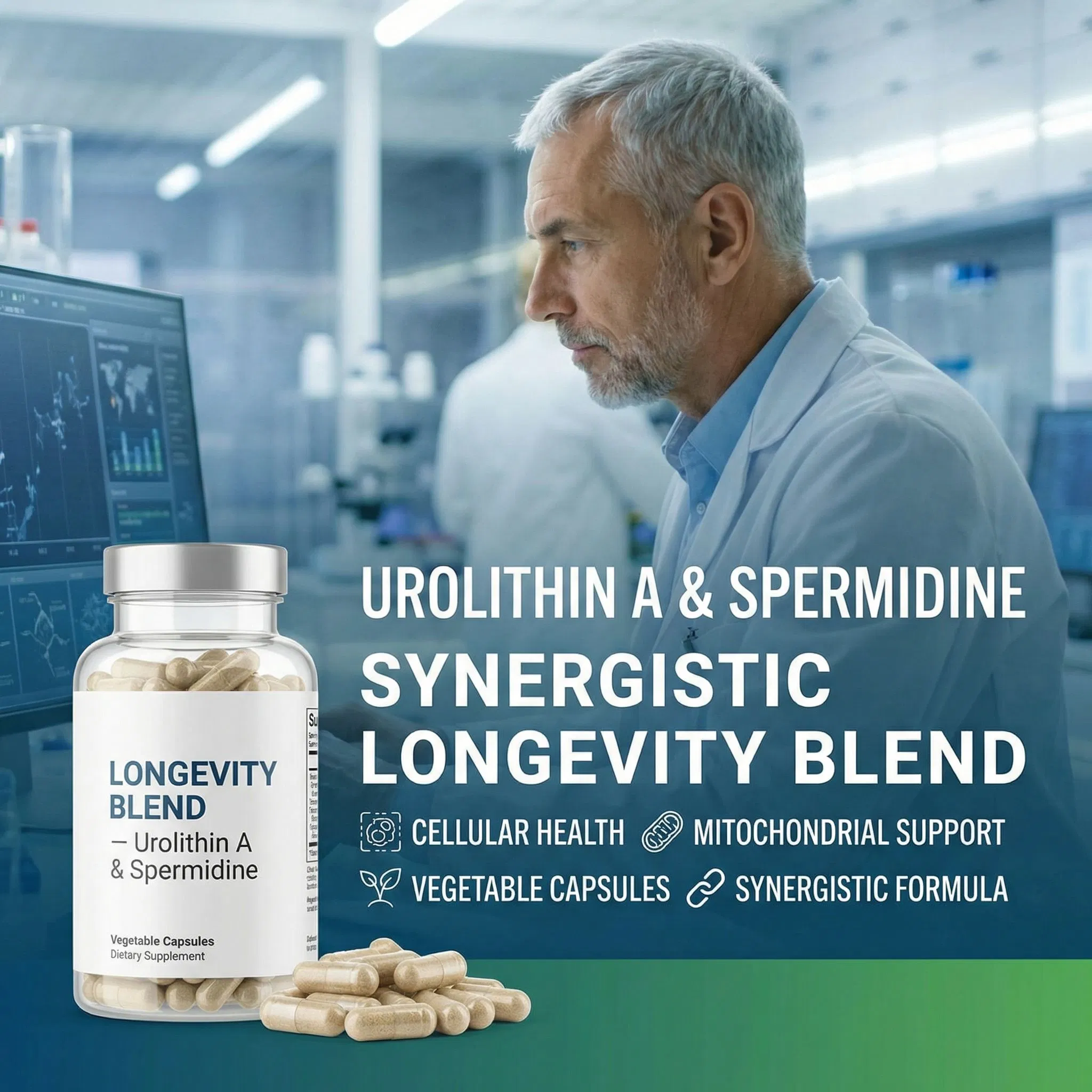 Urolithin a and Spermidine Synergistic Longevity Blend in Vegetable Capsules for Cellular Health and Mitochondrial Support