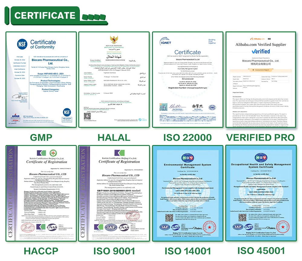 Manufacturing Cleanroom