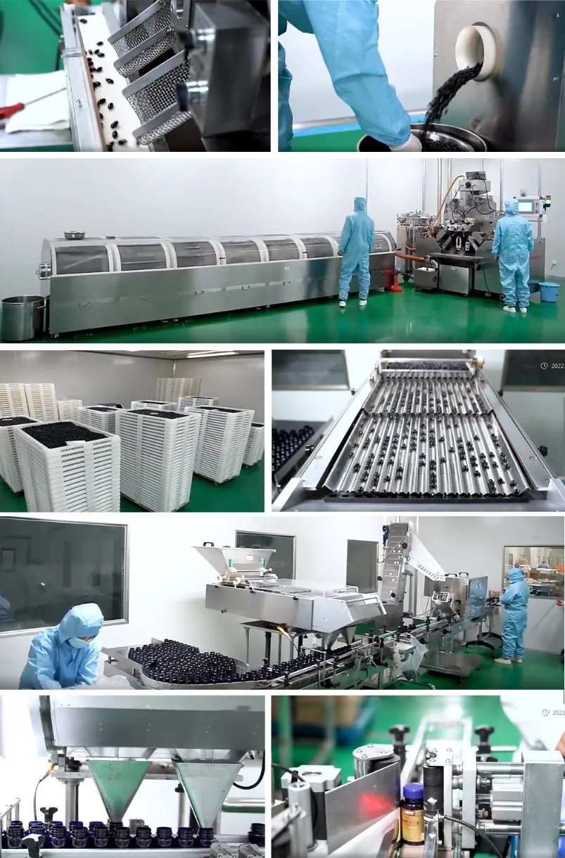 Capsules Production Line