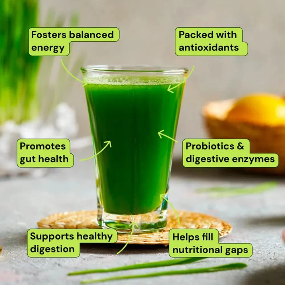 Supports Immunity and Gut Health Super Greens Powder Daily Greens Superfood Powder