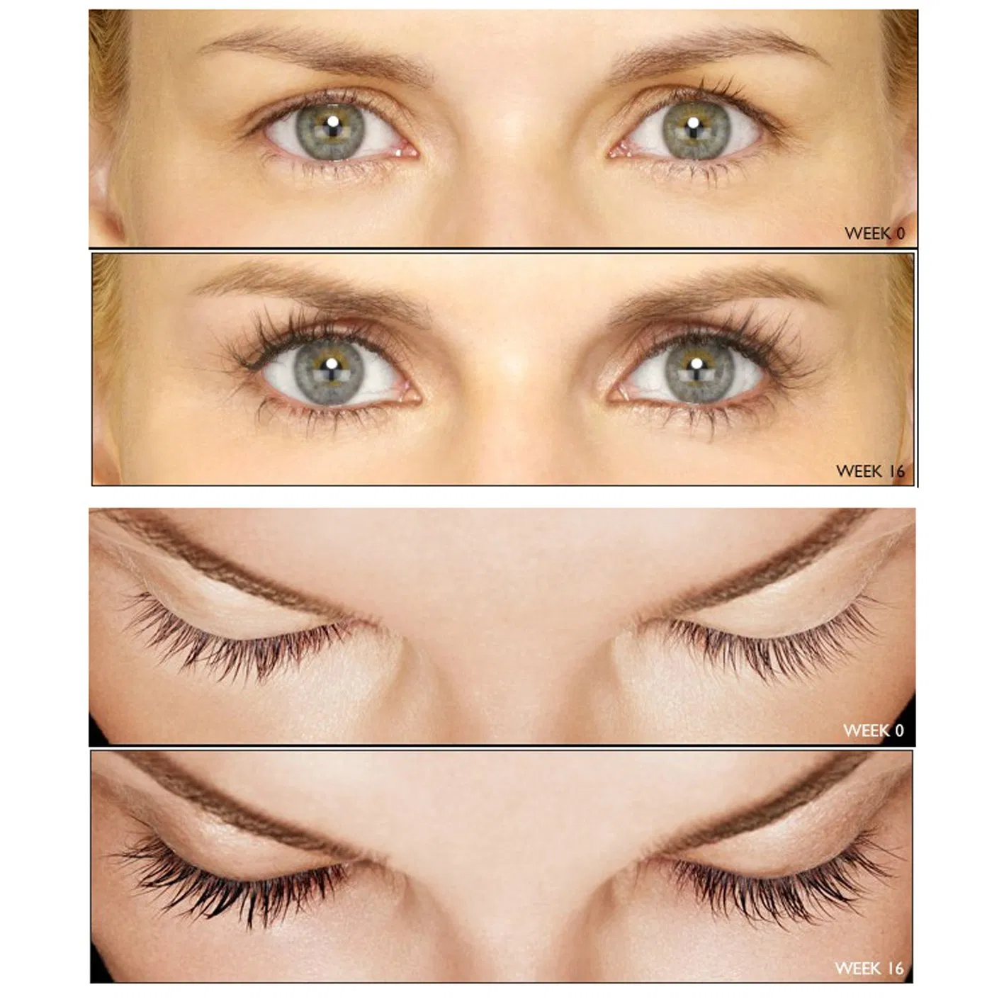 Top Eyelash Growth Lotion Lengthening Natural OEM Hormone-Free