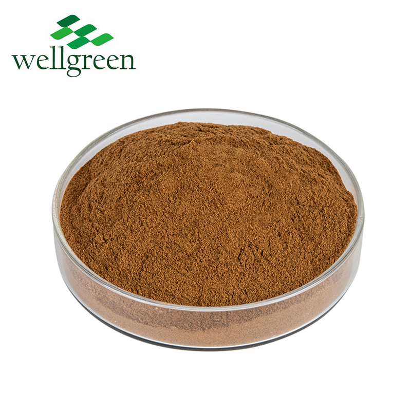 Premium Dual-Extracted Maitake Mushroom Extract for Metabolic &amp; Immune Health (Grifola frondosa)