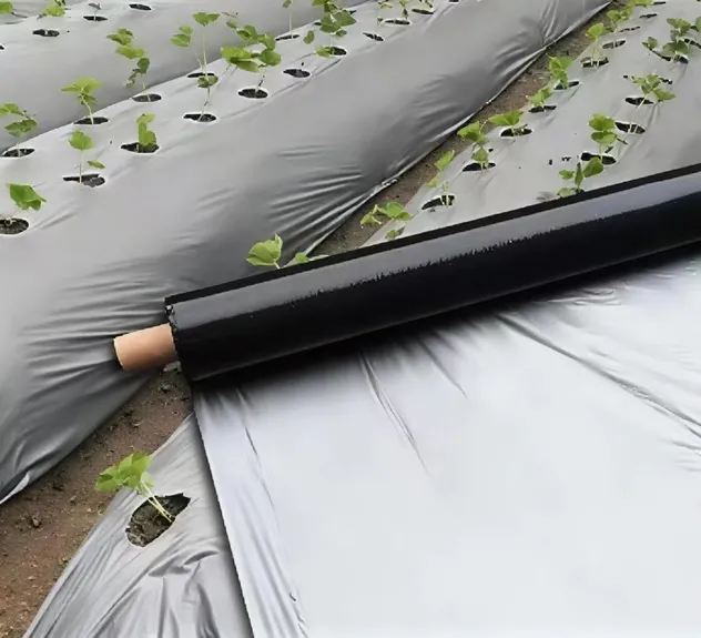 Silver black mulching film