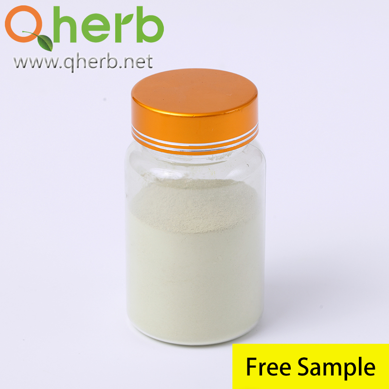 Health Food Scphora Japonica Extract Troxerutin