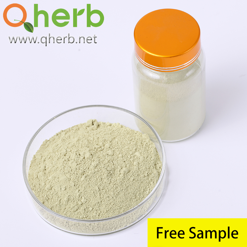 Health Food Scphora Japonica Extract Troxerutin