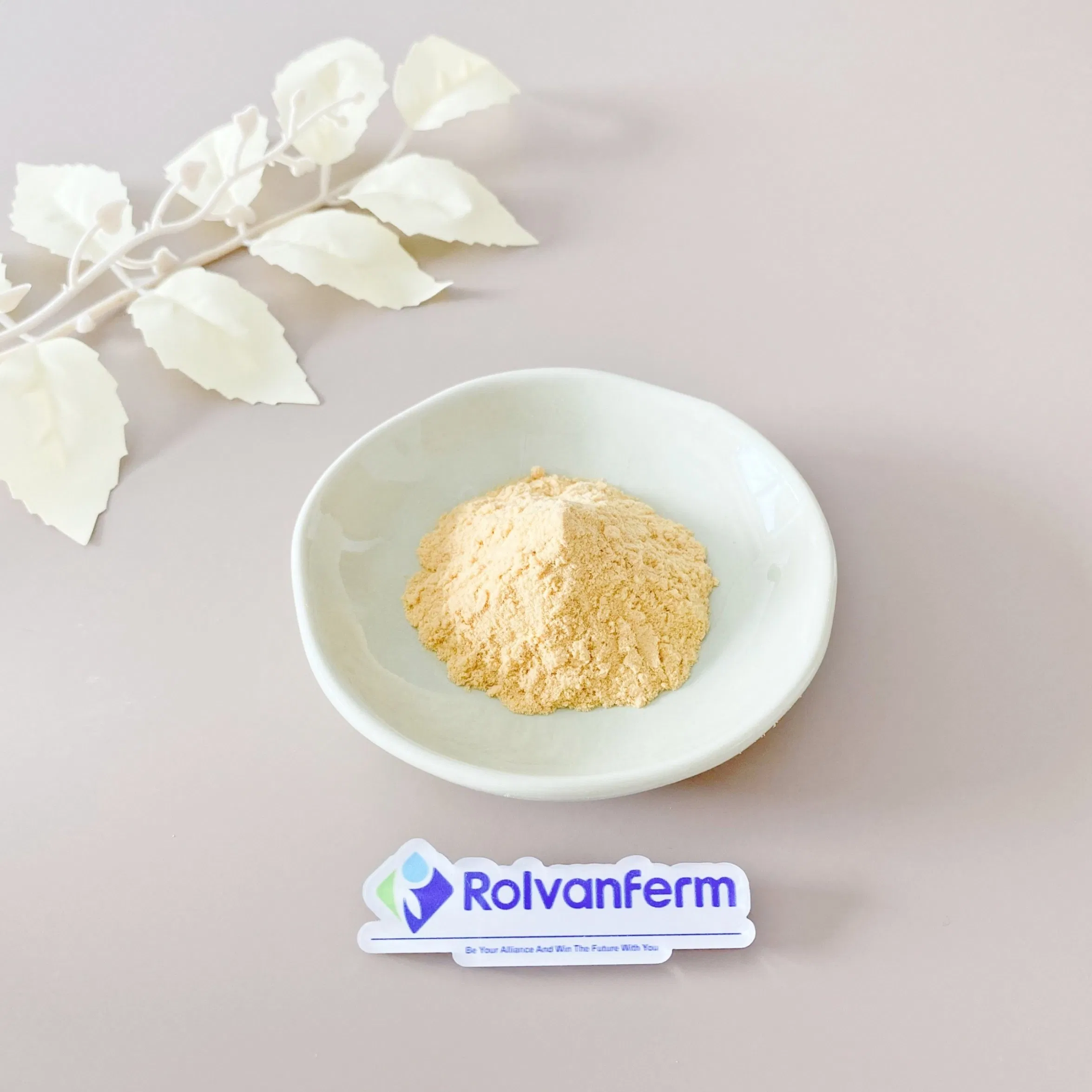 Precision Bioactive Molecule Deazaflavin with Unique Electron Transfer Properties for Innovative Longevity and Metabolic Health Formulations Deazaflavin