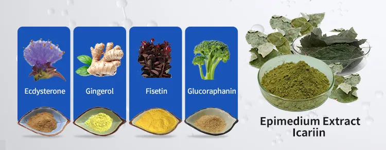 Bacopa Monnieri Extract