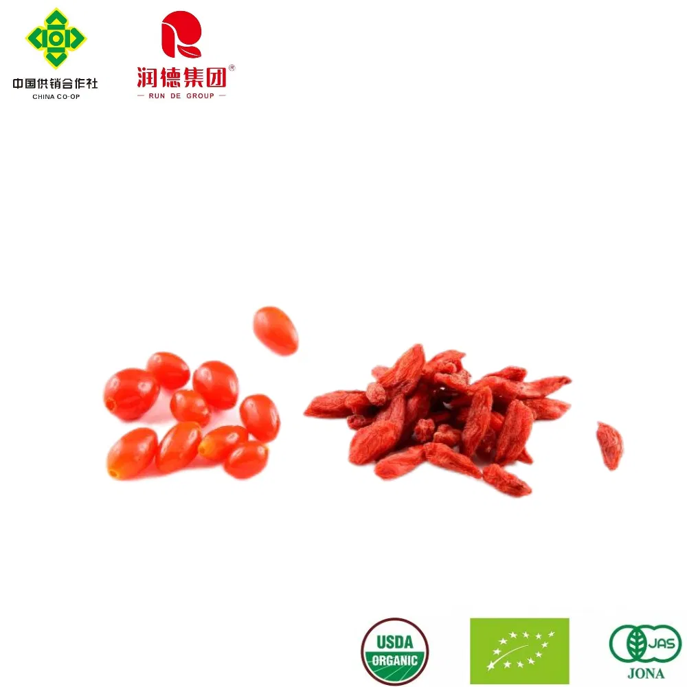 Quality Organic Goji Berries for a Vibrant Lifestyle