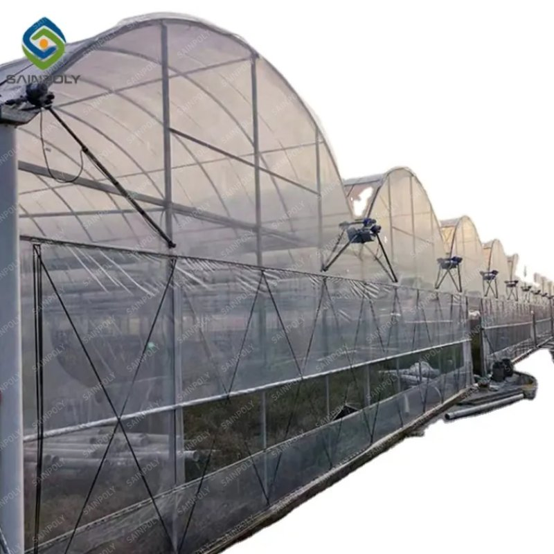 Modern High-Performance Irrigation&Hydroponics Equipment Multi Span Film Greenhouse