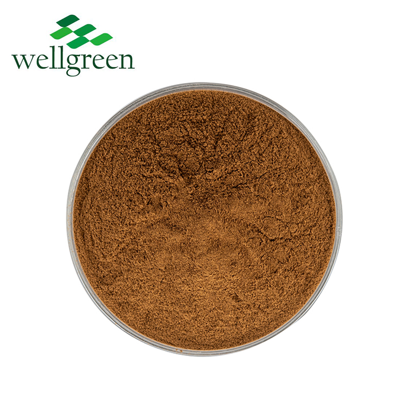 Premium Dual-Extracted Maitake Mushroom Extract for Metabolic &amp; Immune Health (Grifola frondosa)