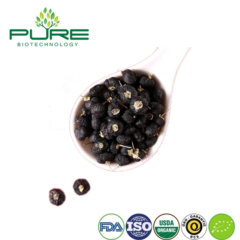 Superfood Dark Purple Goji Berries for Healthy Lifestyle Choices