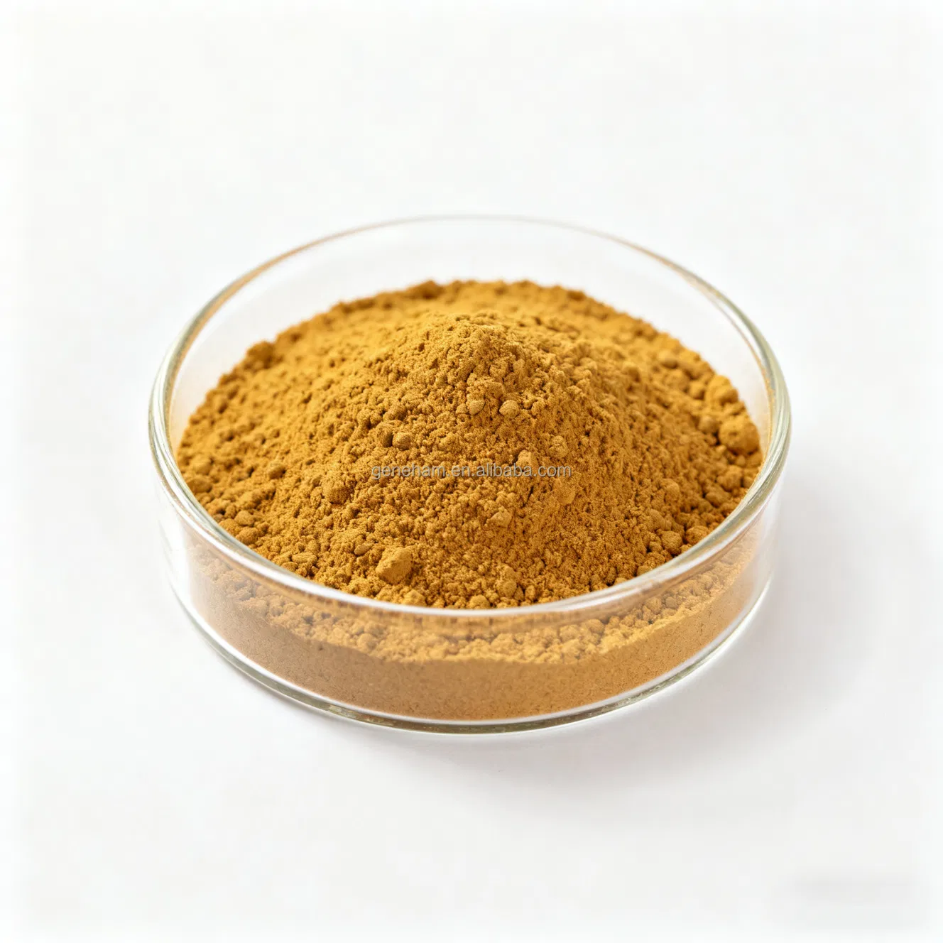 Fenugreek Seed Extract Powder Pure Total Saponins for Metabolic Health Halal Certified Supplement