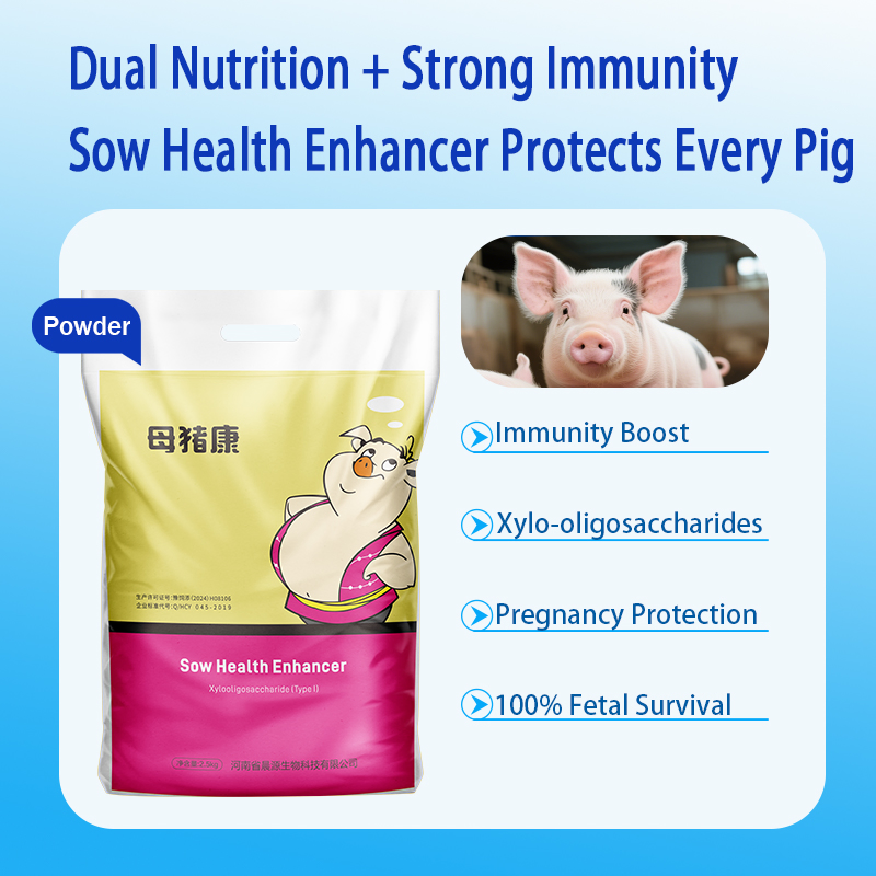 Sow Health Enhancer: Feed Additives Strengthens Vitality Supports Metabolic Health