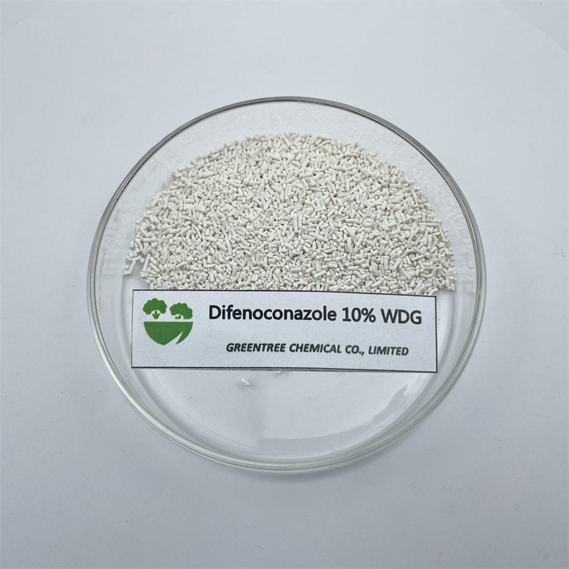 Professional-Grade Preventive Action Fungicide Difenoconazole 10% Wdg for Plant Health