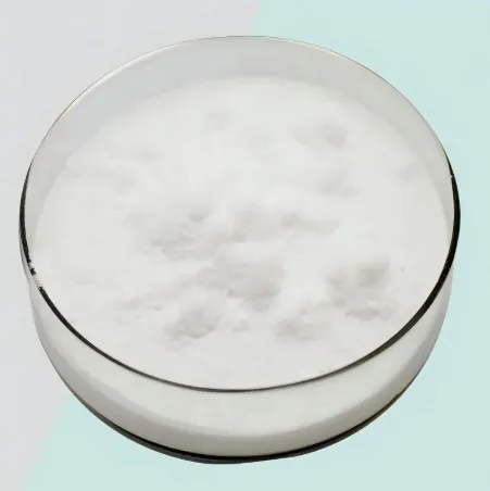 Lactobacillus Fermentum Probiotics