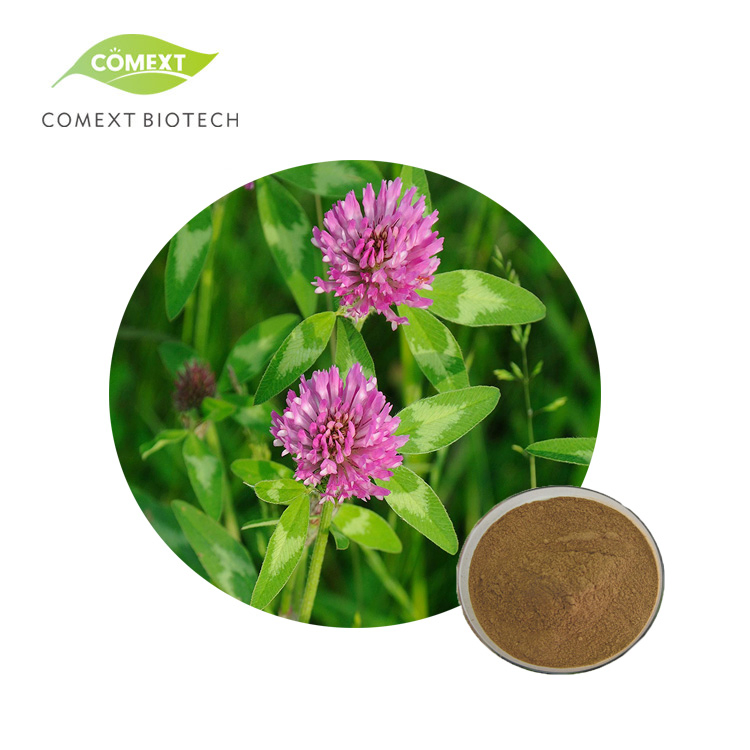 Comext Halal Kosher Factory Price Fast Delivery 100% Natural Isoflavone Red Clover Extract for Women Health