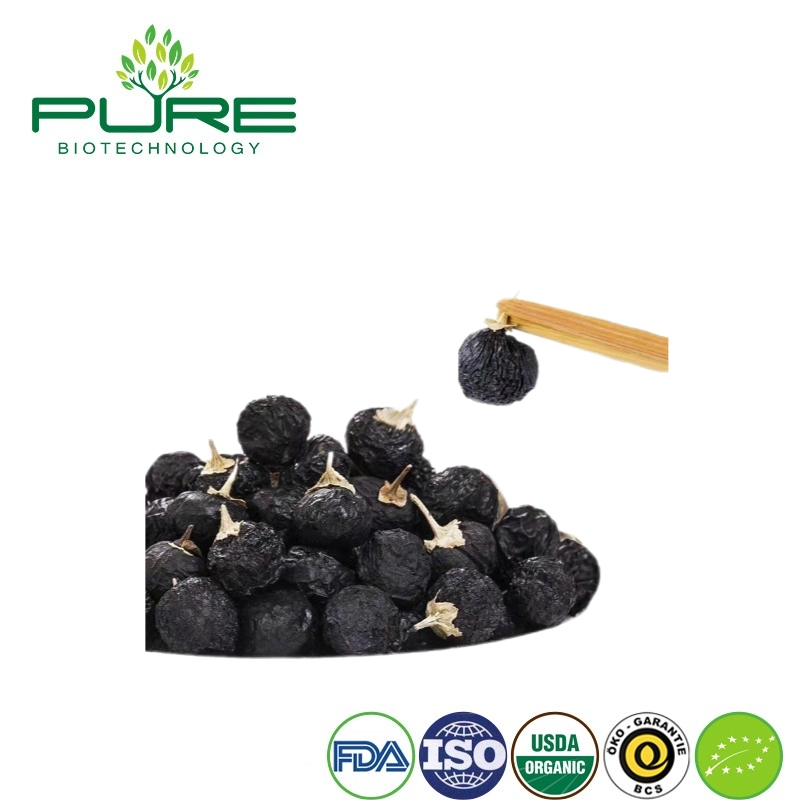 Superfood Dark Purple Goji Berries for Healthy Lifestyle Choices