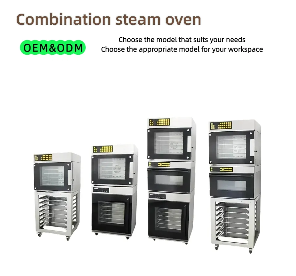 Steam Oven 2