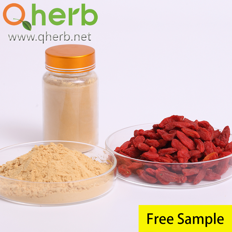 Chinese Wolfberry Extract 40% Polysaccharide Free Sample