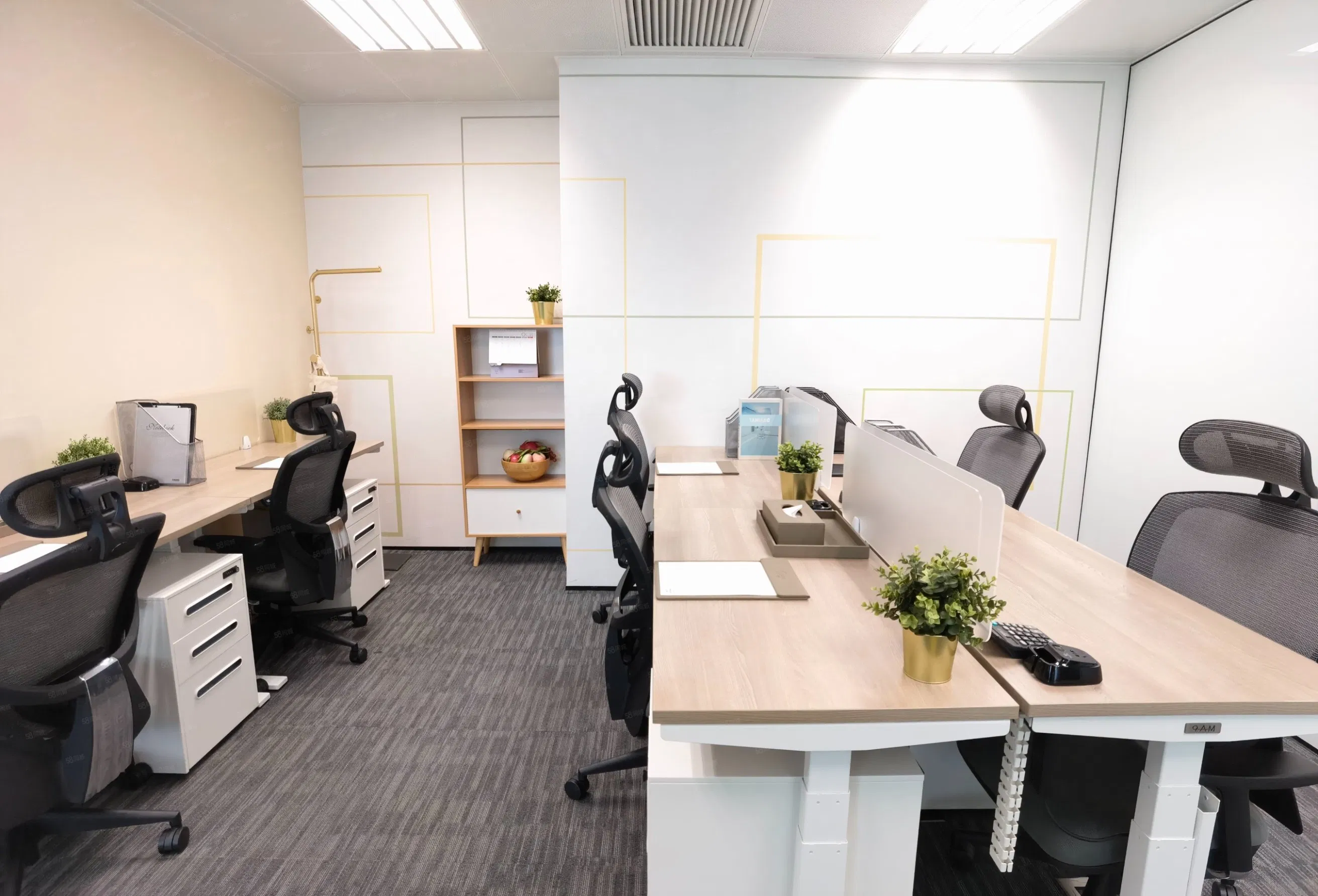 Premium Spermidine Powder for Cellular Health and Longevity